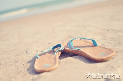 ���������һ������бܶ����� (11)