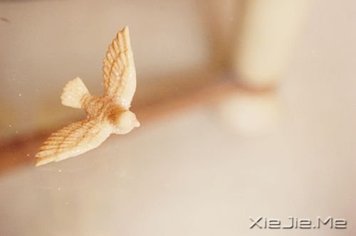 �簲�������������񣬲�����Ϊ���˶��������� (4)