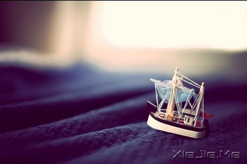 С����ͼƬ (7)