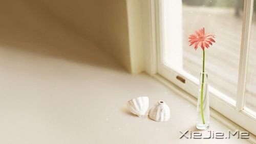 一天路过,一天错过,还有一天,好好把握 (11)