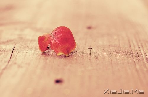 С����ͼƬ (2)