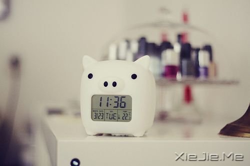 С����ͼƬ (11)