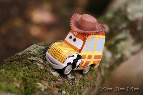 阳光这么好,何必自寻烦恼 (2)