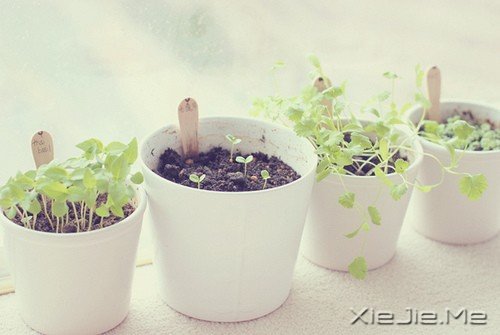 �Ҹ�������һ˲��