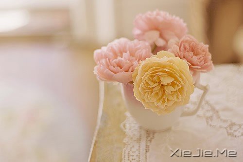 �������� (7)