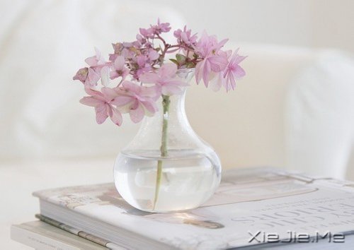 ������¼��������Թ���磬����ı��Լ� (6)