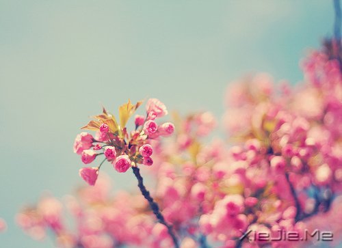 ������¼��������Թ���磬����ı��Լ� (11)