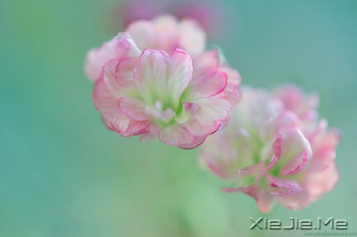 20��30�꣬����ʮ����ʲô