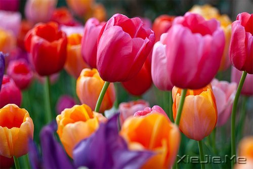 生命中你应该要感谢的十个人