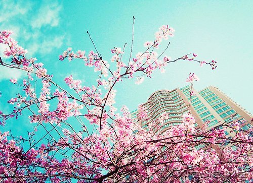 常常观自心,便会更智慧 (8)