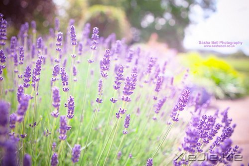 ��������һλ���˵ľž仰 (2)