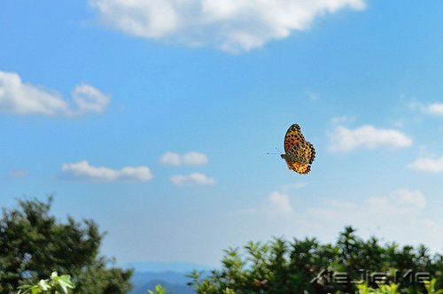 �������н���Ƕ���