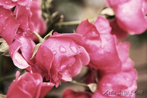 写人仅两笔,做人需一生 (8)