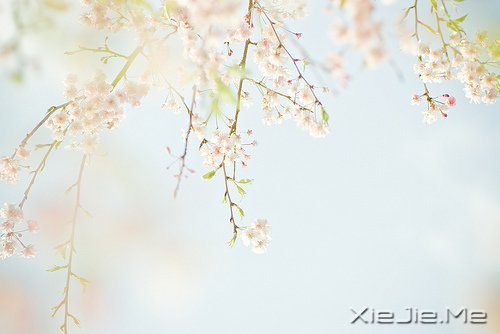 10首温暖的英文歌曲推荐 (4)