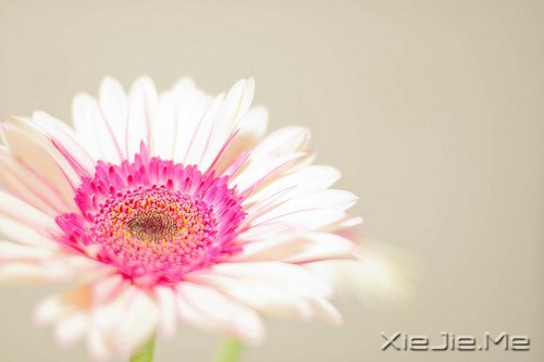 没有回应,就是黑暗;有回应,就有了光