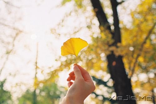 世界上没有那么多“理所当然”