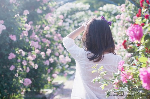 ���֣�ϯĽ������ѡ (6)