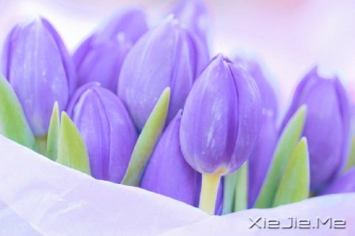 ������¼��ֻҪ�ʺ��Լ��������Ҹ� (3)