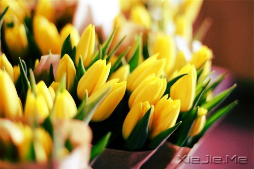 ������¼��ֻҪ�ʺ��Լ��������Ҹ� (14)