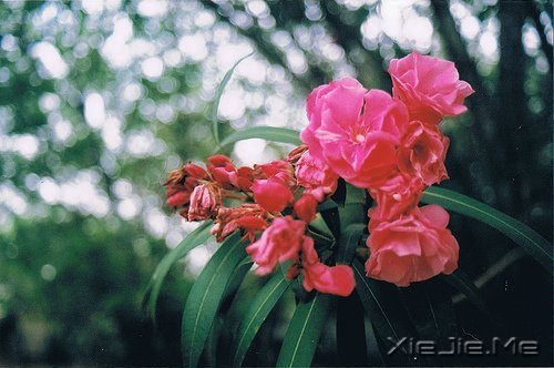 经典语录:输什么也不能输了心情 (9)