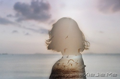 文字:只是想诉说这样短暂的小情绪 (6)