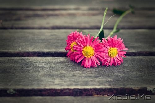 �ɾ�һ����50������̬ (2)