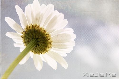 励志文章:坚持不懈,直到成功 (1)