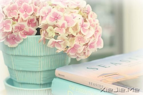 �������ٵ�16ƪ΢С˵