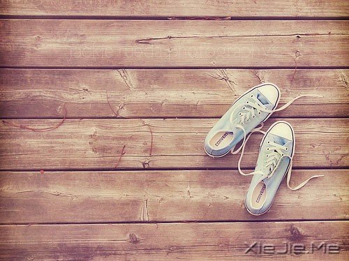 青春那么痛,却义无反顾