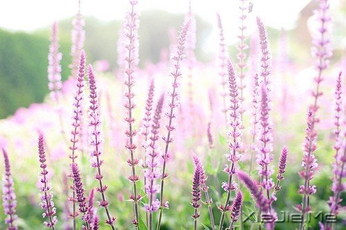 ��ů���������Ҹ�����